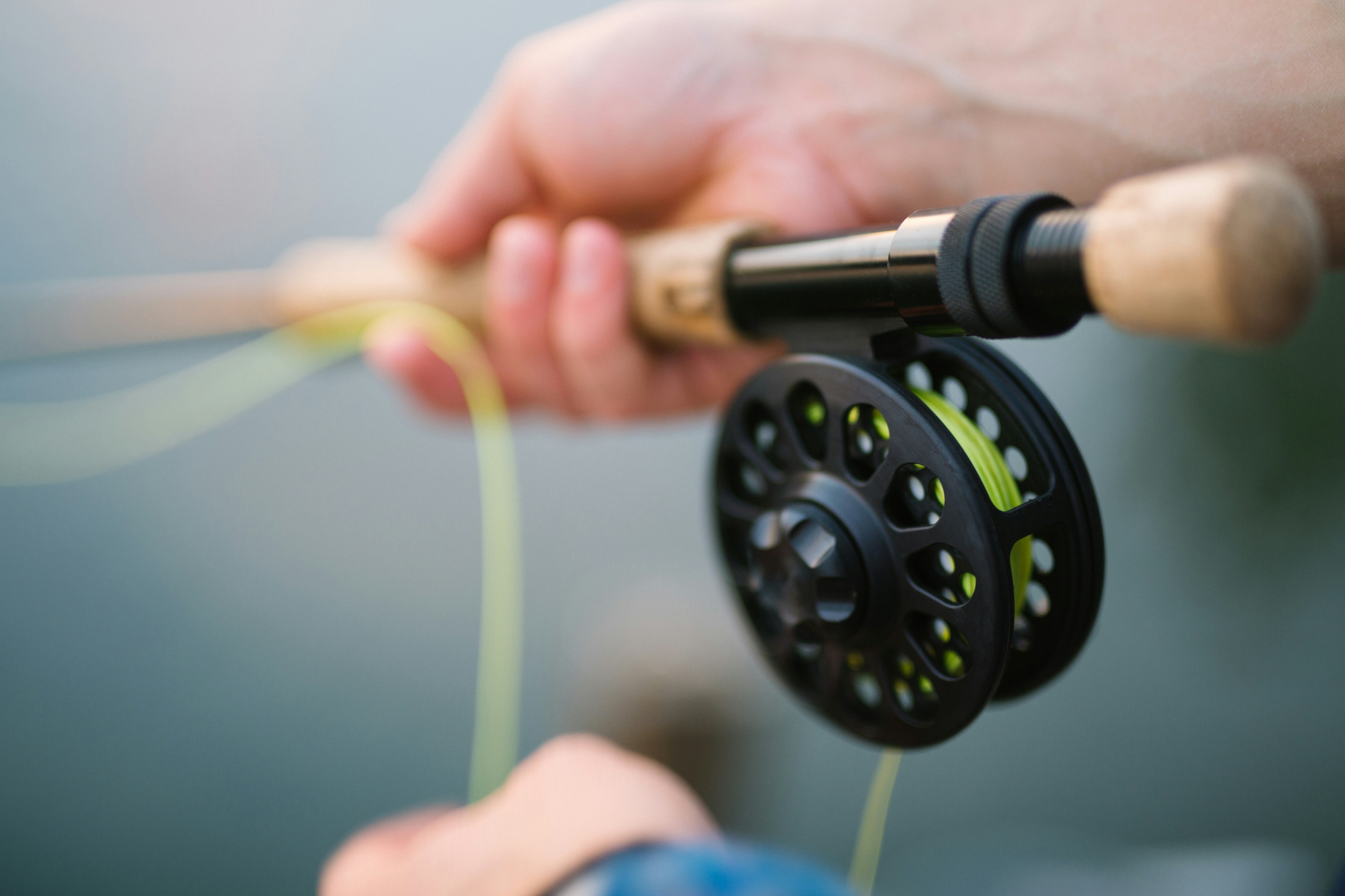 Best Fishing Rod for Beginners
